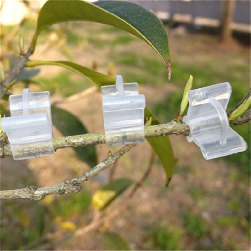 Grafting Clip Klip Cangkok Tanaman