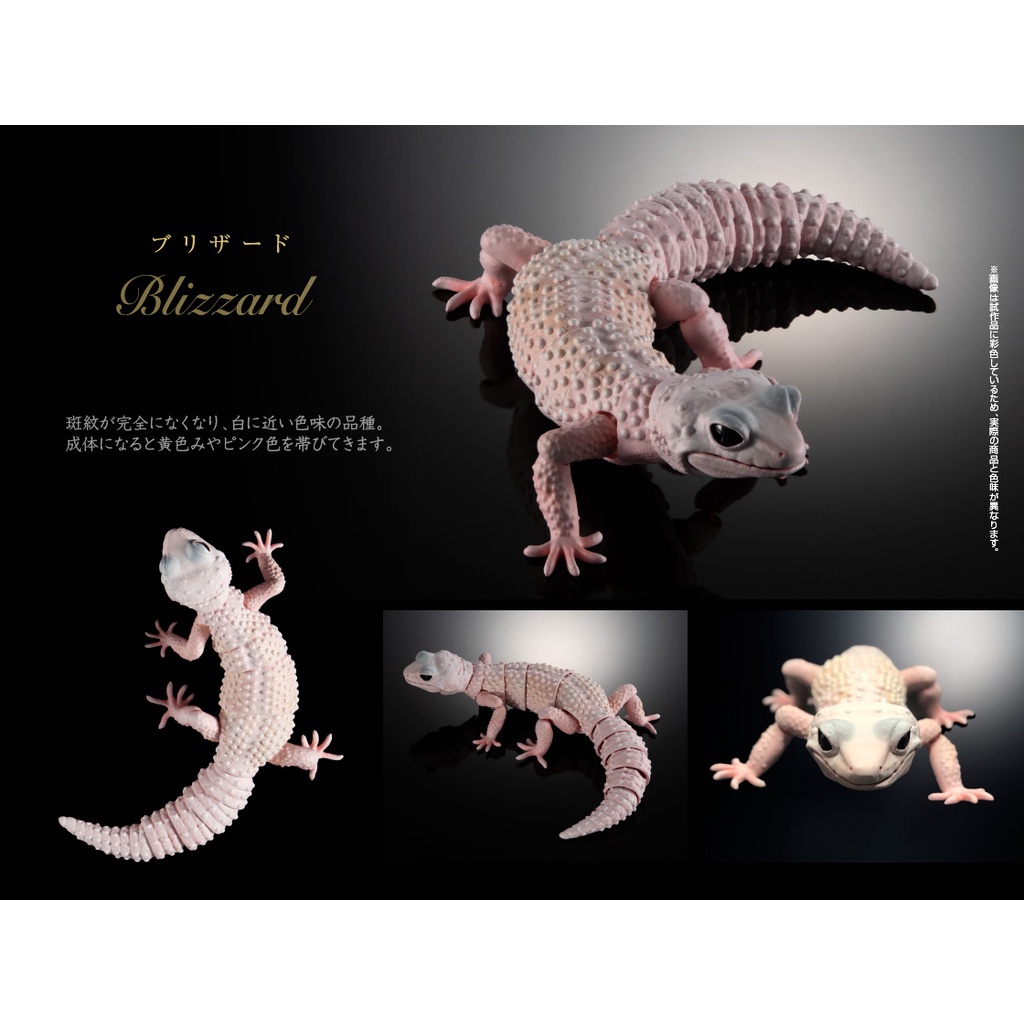 Leopard Gecko Blizzard Ikimono Advance Kadal Dangomushi Kadal Bandai Gashapon Gacha Capsule Toy