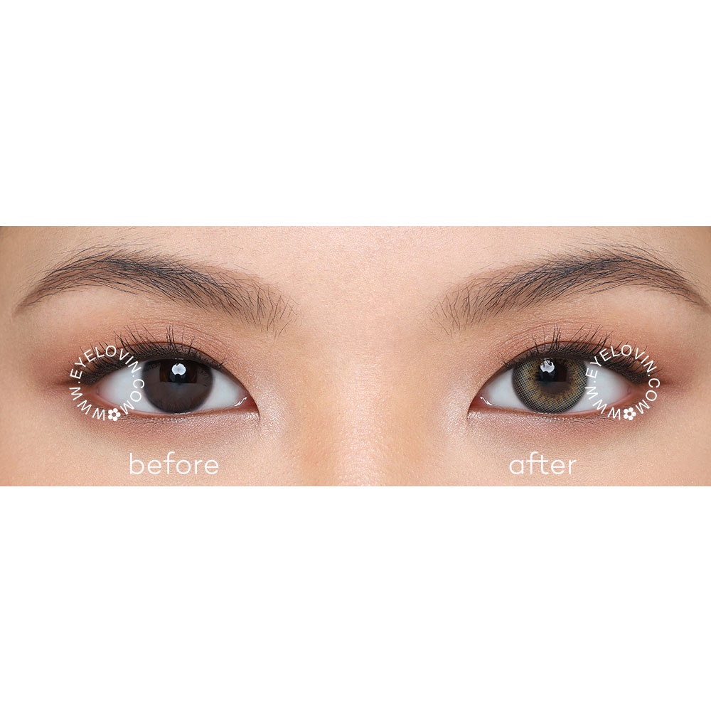 Eyelovin Softlens Mite Clair Pure Moist - Gaia Grey