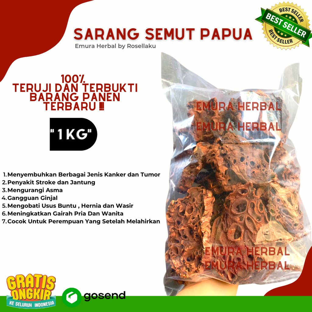 SARANG SEMUT ASLI PAPUA 1 KG / Obat Kanker Herbal / Obat Ginjal Herbal