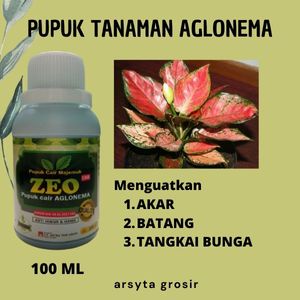PUPUK TANAMAN AGLONEMA/ PUPUK PENYUBUR TANAMAN
