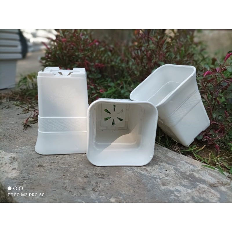 POT BUNGA KOTAK KECIL PUTIH 8CM POT KAKTUS MINI PUTIH