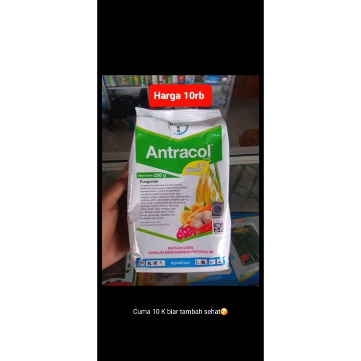 ANTRACOL (Fungisida) Obat Jamur Untuk Tanaman Hias