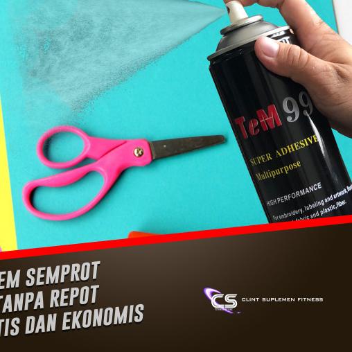 

● TEM 99 LEM SEMPROT ADHESIVE SPRAY CLEAR MOUNTING SPRAY ▼