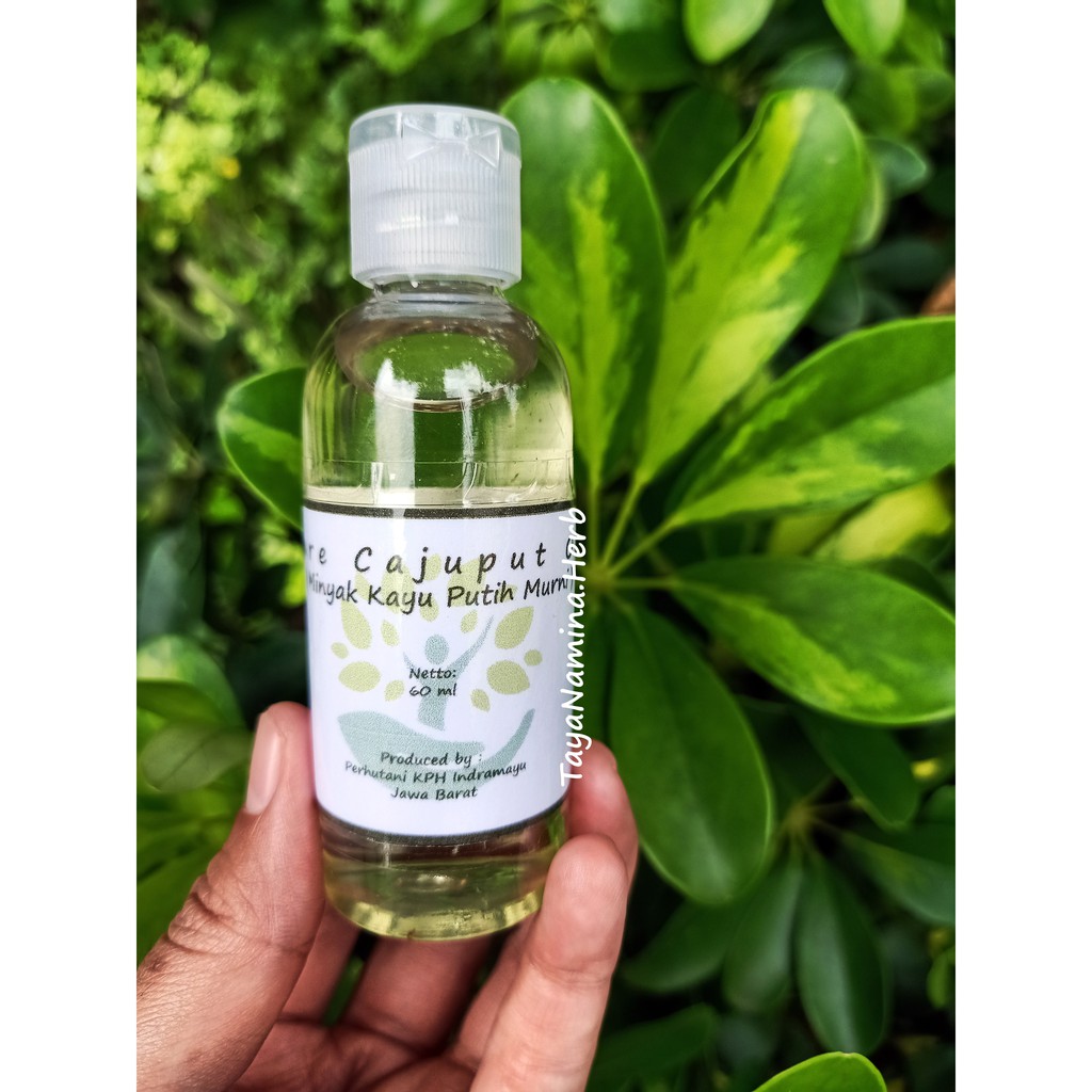 Minyak Kayu Putih Asli Perhutani Indramayu