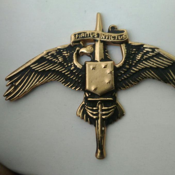 ♥️BISA COD♥️ brevet wing US MARSOC Badge Marine Corps Forces Special Operations PROMO Kode