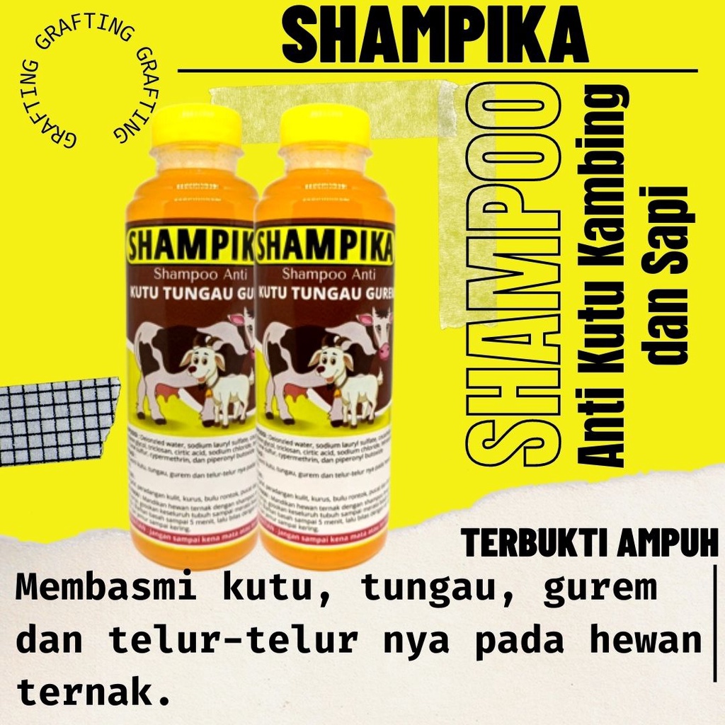 Sampo Sapi Kerbau Kambing Anti Kutu Parasit Tungau SHAMPIKA FEZONE