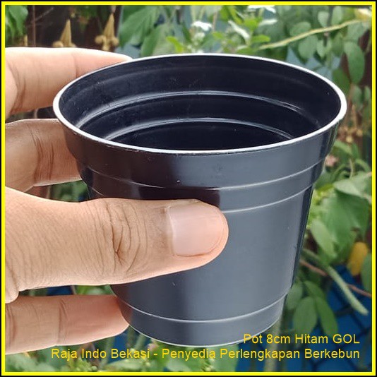 MURAH POT  8 CM HITAM POT  BUNGA 8CM PLASTIK  KAKTUS VAS 