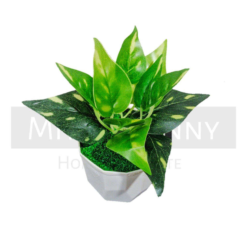 TANAMAN BUNGA ARTIFICIAL BUNGA HIAS DEKORASI HIASAN RUMAH BUNGA PLASTIK MURAH BUNGA AGLONEMA MINI-KD-008