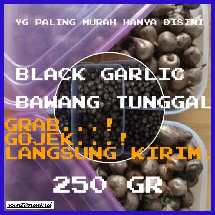 

OBAT-HERBAL- BAWANG PUTIH HITAM TUNGGAL-BAWANG HITAM LANANG SIUNG-BLACK GARLIC 250G -HERBALITY.