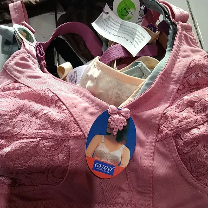 BH import guini 500(1pcs)