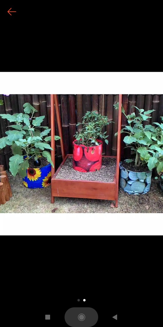Planter Bag Easy Grow 5 Liter - Hijau