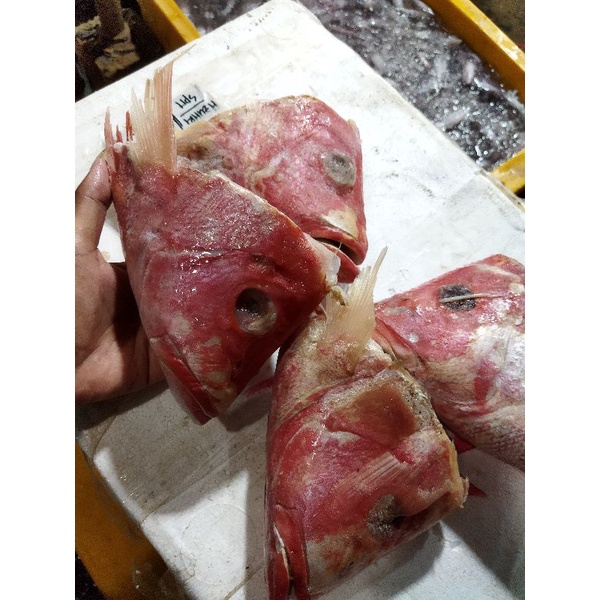 

Kepala Ikan Kakap Merah Segar 1~Kilogram
