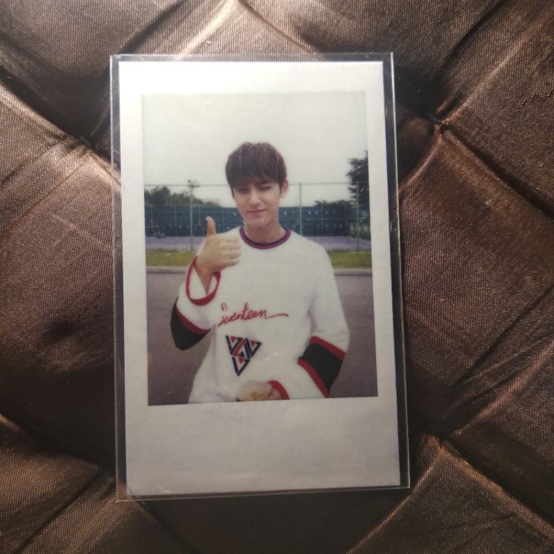 [BOOKED] MINGYU POLA POLAROID SEVENTEEN CONCERT 2016 SET A