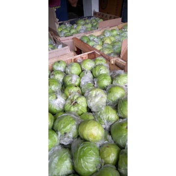 

jambu kristal