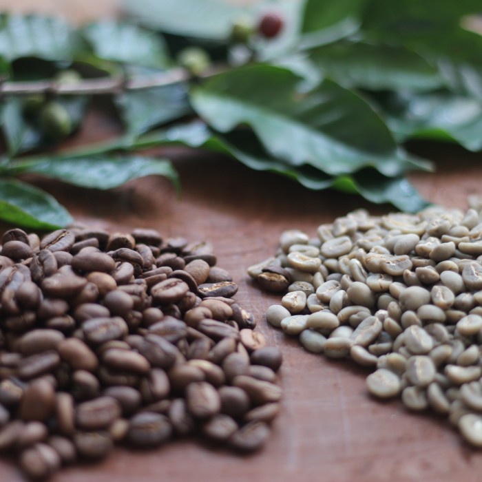 

201ggffg Arabica Mamasa Medium (Juara Kksi 2018) - Giling Espresso, Genesis Ds20X11