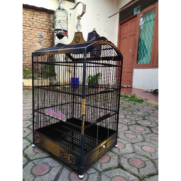 Sangkar Kotak BNR black Gold