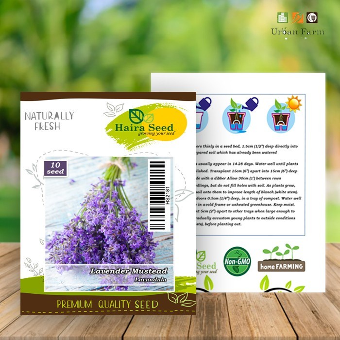 Bibit-Biji Bunga Lavender Mustead (Haira Seed)