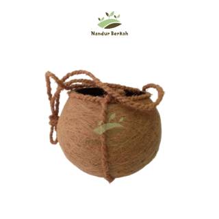  POT  SERABUT KELAPA COCOFIBER 13 cm MODEL KOKEDAMA BESAR  