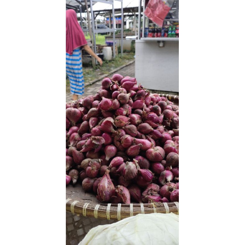 

bawang brebes super 500gram