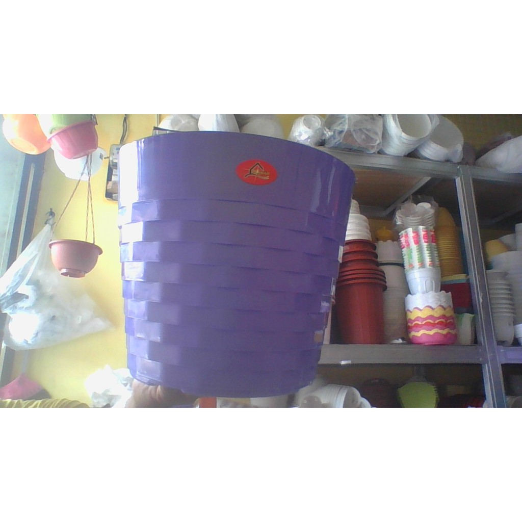 POT BUNGA ALEXISH ASOKA 30 UNGU