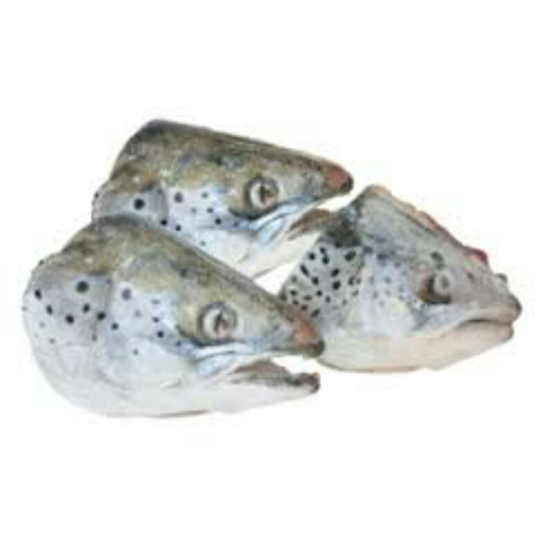 

Salmon head/kepala salmon tanpa rahang fresh