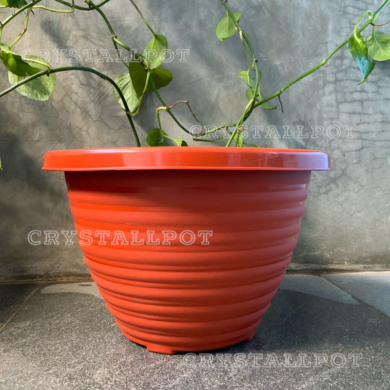 Pot bunga tanaman tawon merah bata kuping 33cm - BEE 336
