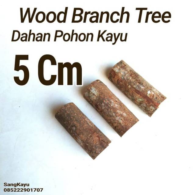 Wood Branch Tree 1-2 cm x 5 Cm Dahan kayu potongan kayu bahan craft