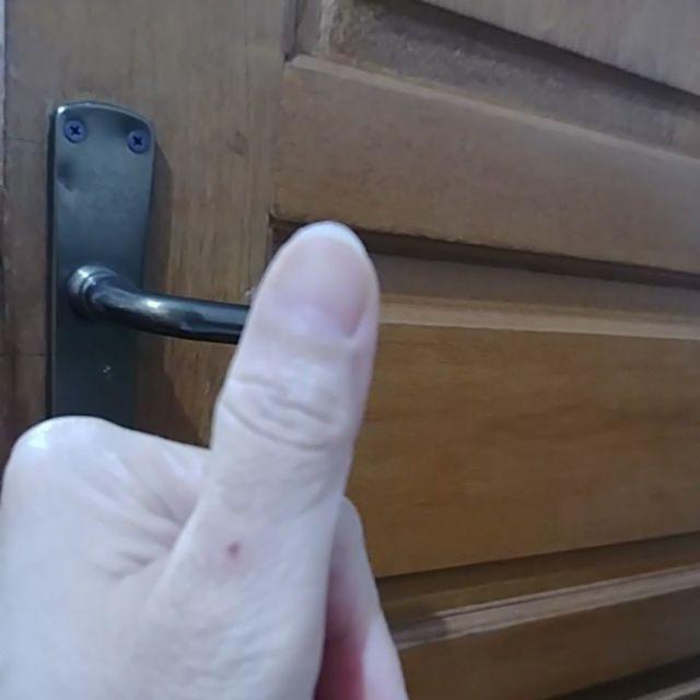 Panci Serbaguna 22 Cm Orchid / Steamer / Langseng