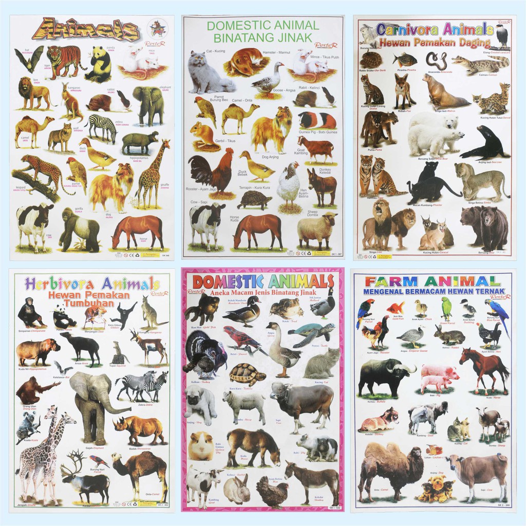 Jual Poster Edukasi Anak / Mainan Edukasi Anak Lembaran Animal Domestic