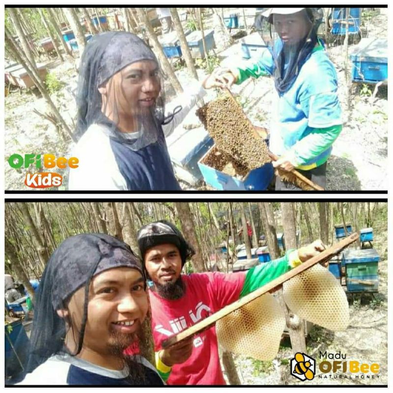 [0,5 kg] Madu Murni Setengah Kilo (Raw Honey) Fresh dan Alami Tanpa Campuran