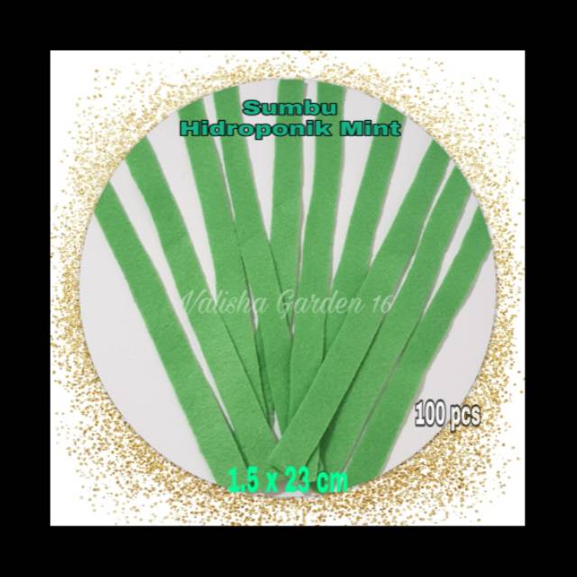 Sumbu Hijau Mint Hidroponik 100 pcs