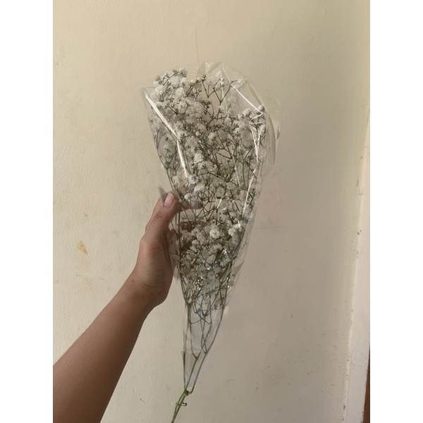 Bunga Baby Breath Asli Import per Tangkai Fresh Flower