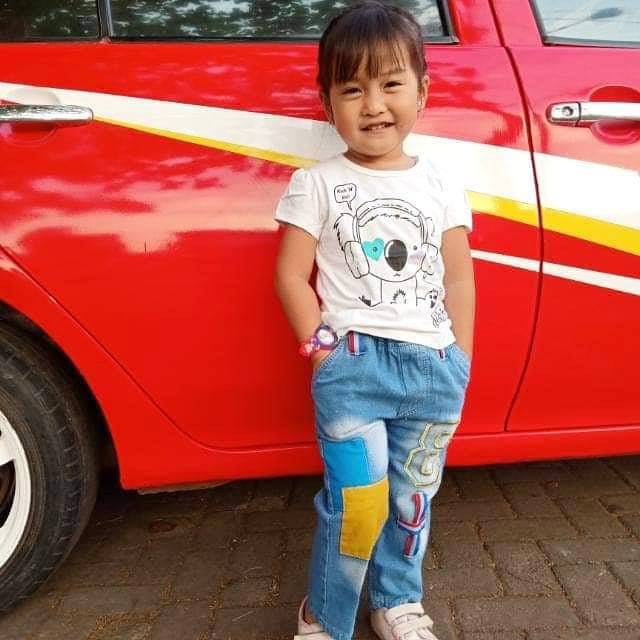 

Pencil vareasi border