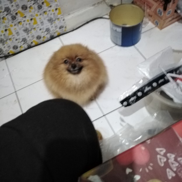 Kotak Wadah Dengan Model 10-kompartemen Untuk Organizer / Tempat Penyimpanan Perhiasan