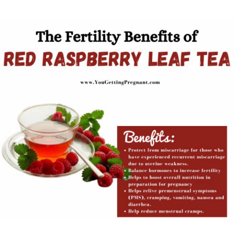 

RK12 ELIF TEA AND TISANE Raspberry Leaf Tea Red Raspberry Leaves Teh Daun Raspberry Merah Teh Promil