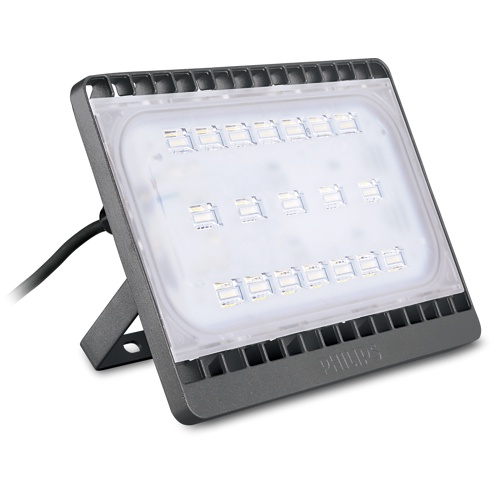 RK Philips Lampu Sorot 50W BVP172 Led39/Led43