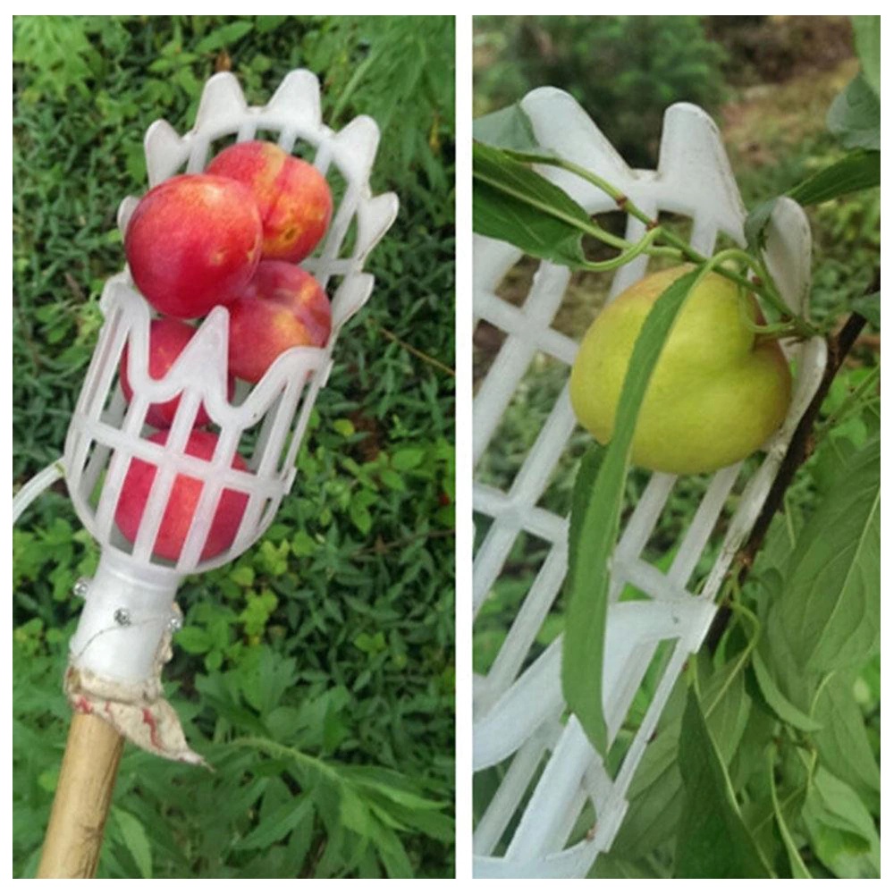 Alat Pemetik Buah Sekop Petik Buah Garden Fruit Picker