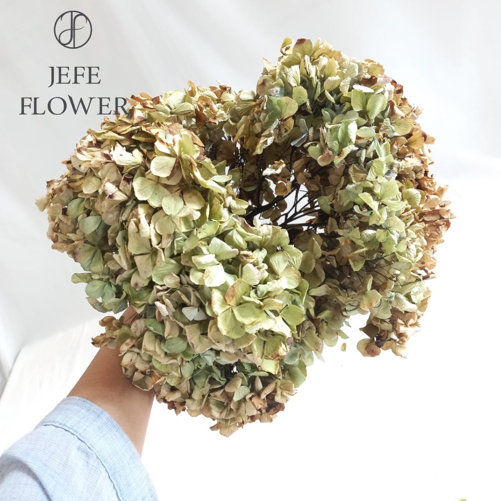 Bunga Kering Hydrangea 1 Kardus / Dried Hydrangea / Dried Flower / Bunga Bokor Kering / Jefe Flower