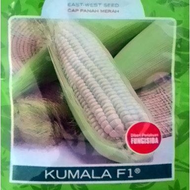 Biji Benih JAGUNG PUTIH Pulut KUMALA F1