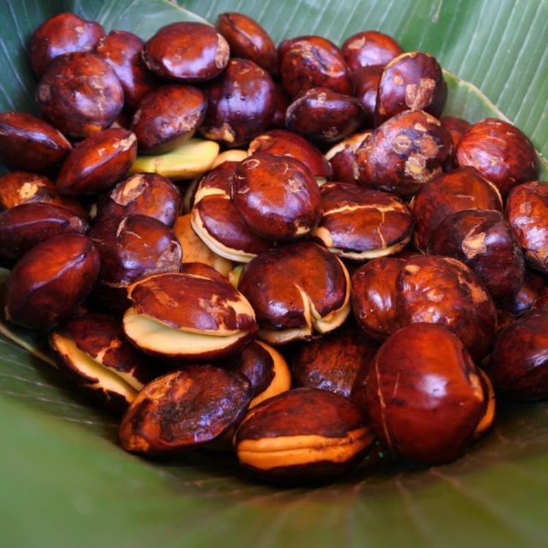 

Grosir 250 gram Jengkol Segar