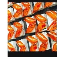 sepasang mika sen depan fizr vegaR orange original ygp