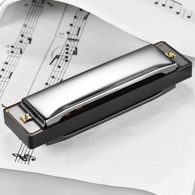 DISKON Flanger fh-01 Diatonik Blues Harmonika 10 Lubang 20 Nada untuk Pemula-1
