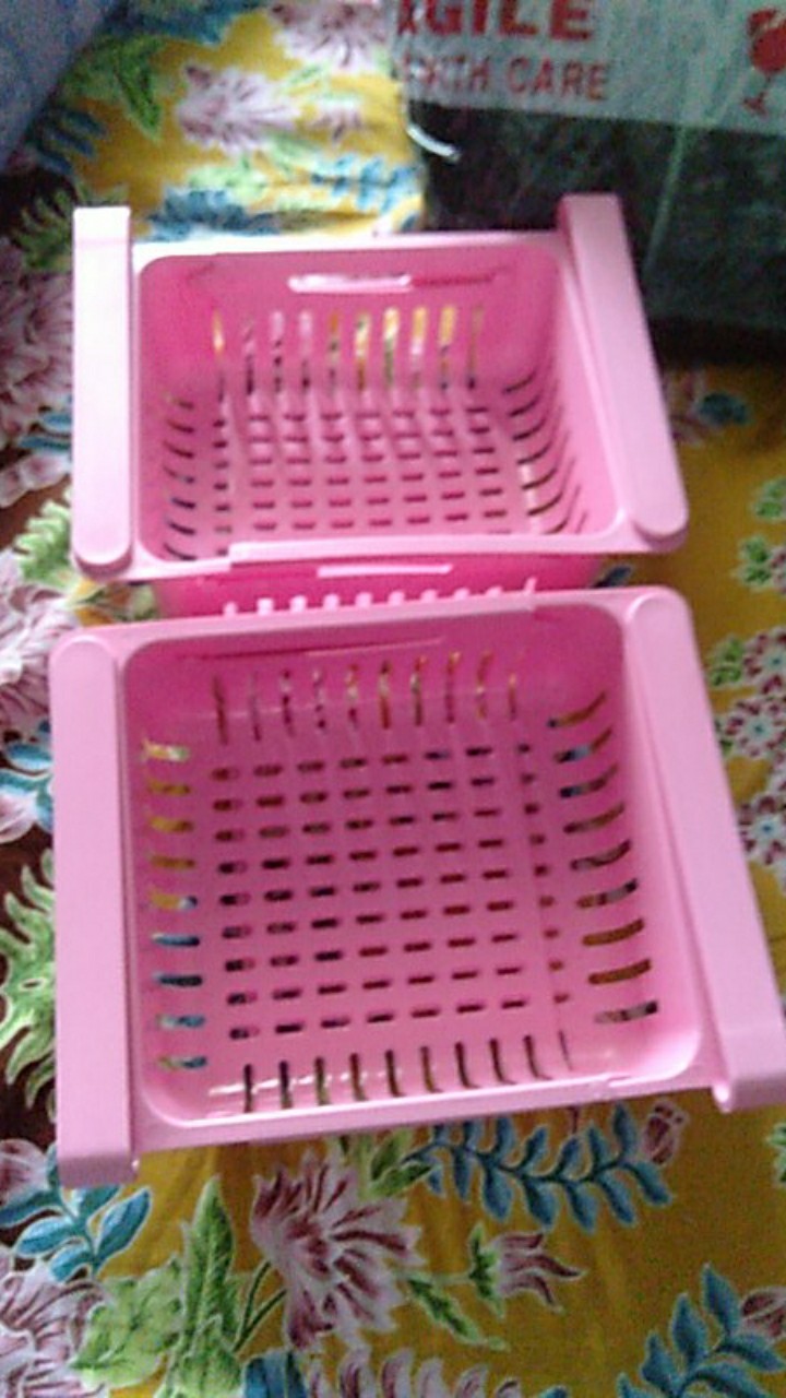 Rak Kulkas Tempat Penyimpanan Makanan