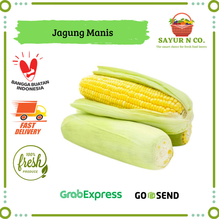 

Jagung Manis Kulit | Sayur N Co Bekasi