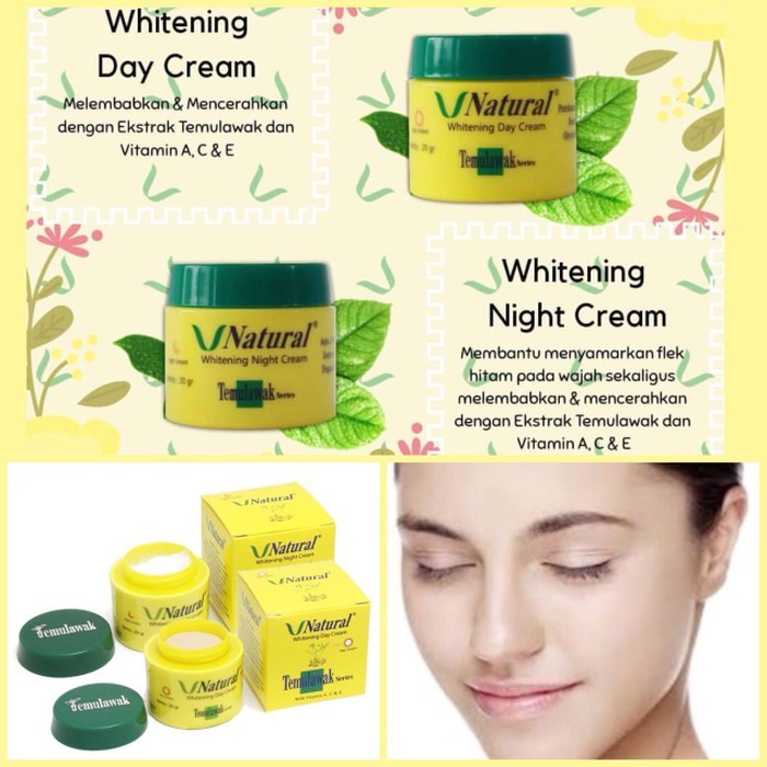 V NATURAL DAY N NIGHT CREAM BPOM ORIGINAL - CREAM TEMULAWAK V NATURAL