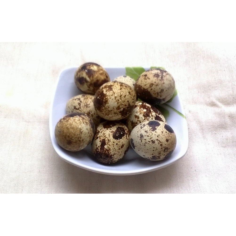 

Telur Puyuh 10 Pcs