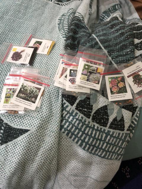 (36 Seeds) Biji Benih Bunga Mawar 36 Varieties Of Roses Mixed