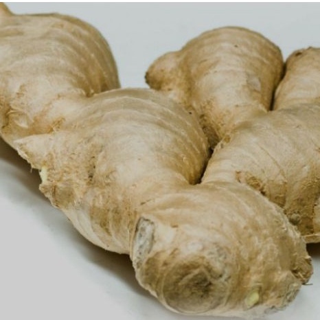 

Jahe Gajah 250 Gram