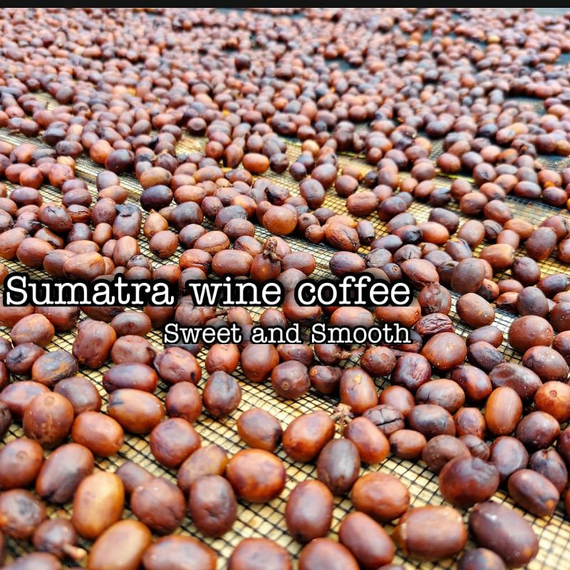 

Green bean arabika natural kerinci